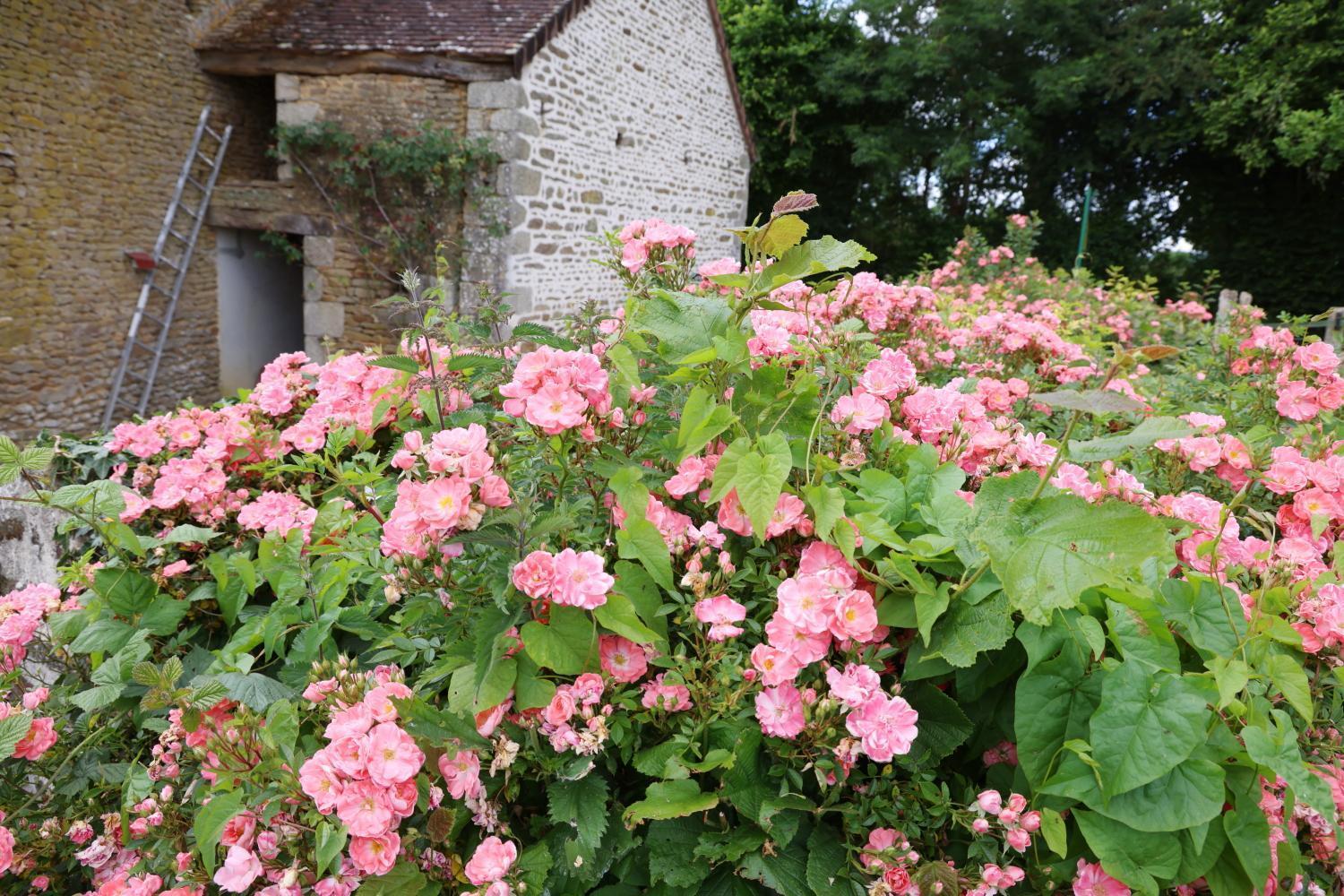 Chambre D'Hote Courtoux Saint-Denis-sur-Sarthon Εξωτερικό φωτογραφία